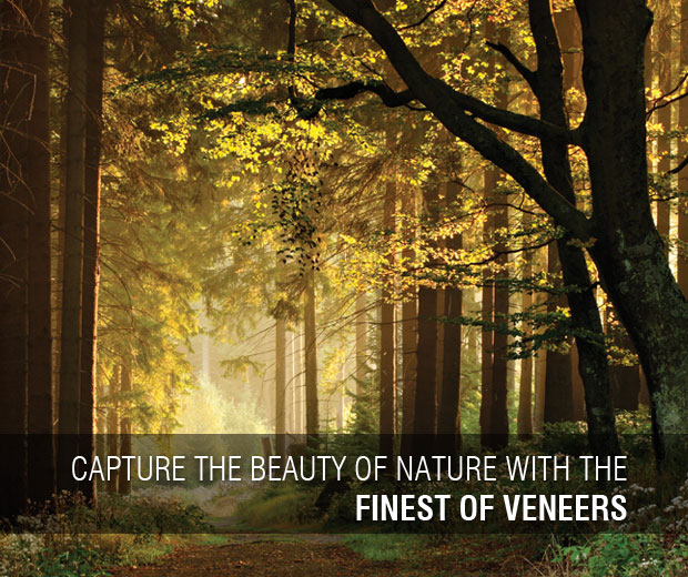 Capture the beauty of nature with the finest of veneers