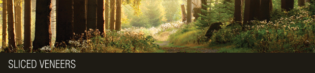 Sliced Veneers Eldcan